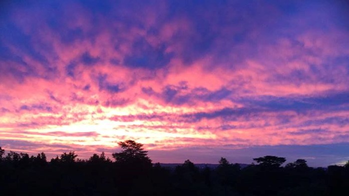 12122434_899416480142593_5004046220525919328_n